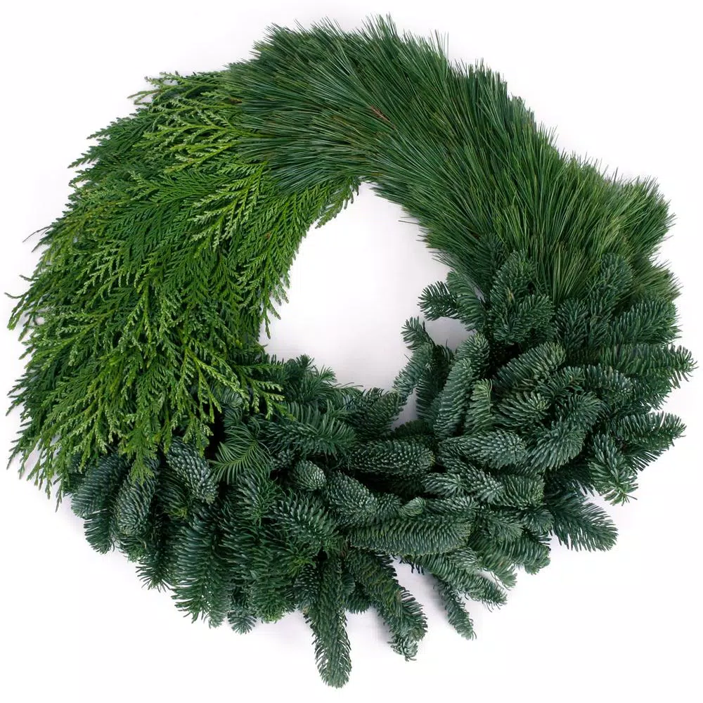 VAN ZYVERDEN 24 in. Live Fresh Cut Pacific Northwest Modern Block Christmas Wreath - Noble Fir, Cedar, and Pine
