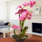 National Tree Company 17.32 in. Pink Silk Orchid Floral Arrangement in Black Ceramic Pot thumbnail 2