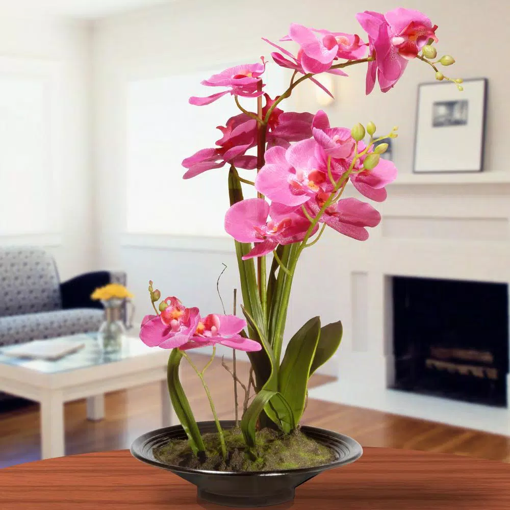 National Tree Company 17.32 in. Pink Silk Orchid Floral Arrangement in Black Ceramic Pot