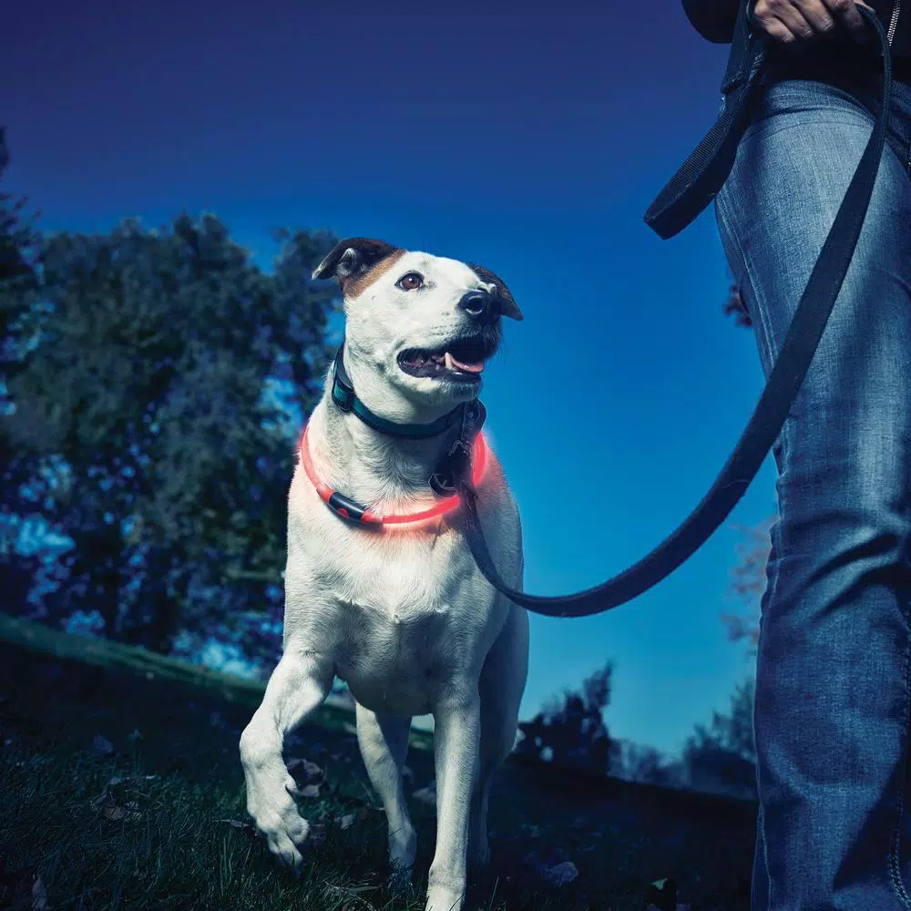 Nite Ize NiteHowl LED Safety Necklace for Dogs, Red, Adjustable 12-27 in.