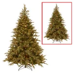 National Tree Company 6 ft. Frasier Grande Artificial Christmas Tree with 800 Dual Color LED Lights thumbnail 1
