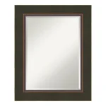 Amanti Art Milano 25 in. W x 31 in. H Rectangular Beveled Edge Bathroom Vanity Mirror, Dark Bronze thumbnail 1
