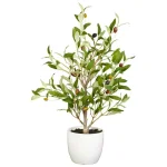 Nearly Natural 18 in. Green Olive Silk Tree with White Vase (Set of 2) thumbnail 2
