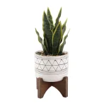 Flora Bunda 12 in. Artificial Snake Plant in White Ceramic GEO Pattern Pot with Wood Stand thumbnail 1