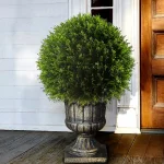 National Tree Company 27 in. Artificial Juniper Ball Topiary Tree in Decorative Gray Urn thumbnail 2