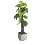 Vintage Home 84 in. Artificial Elephant Ear Plant with White Fiberstone Planter thumbnail 1