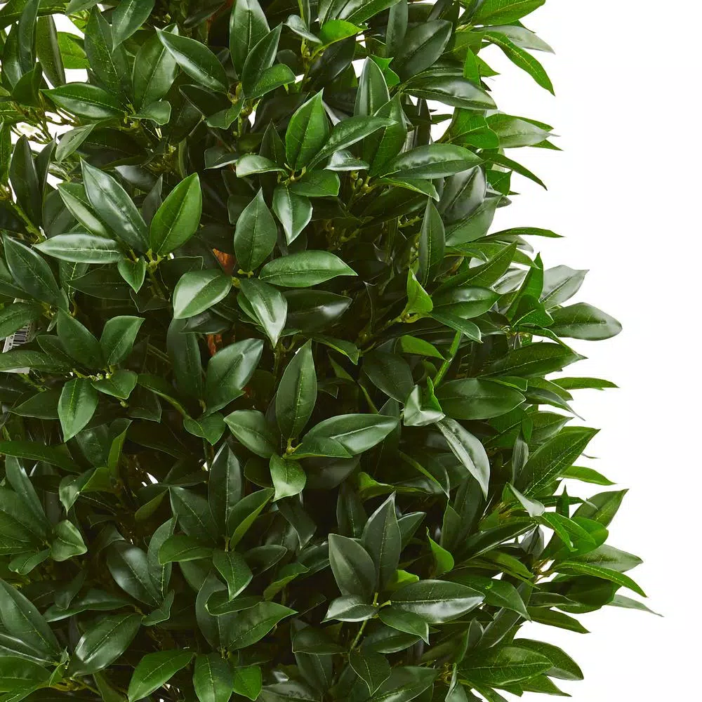 Nearly Natural 56-In. Bay Leaf Cone Topiary Artificial Tree with Black Planter, UV-Resistant Indoor/Outdoor
