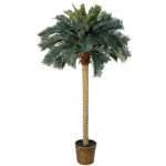 Nearly Natural 6 ft. Sago Palm Silk Tree with Wicker Basket thumbnail 1