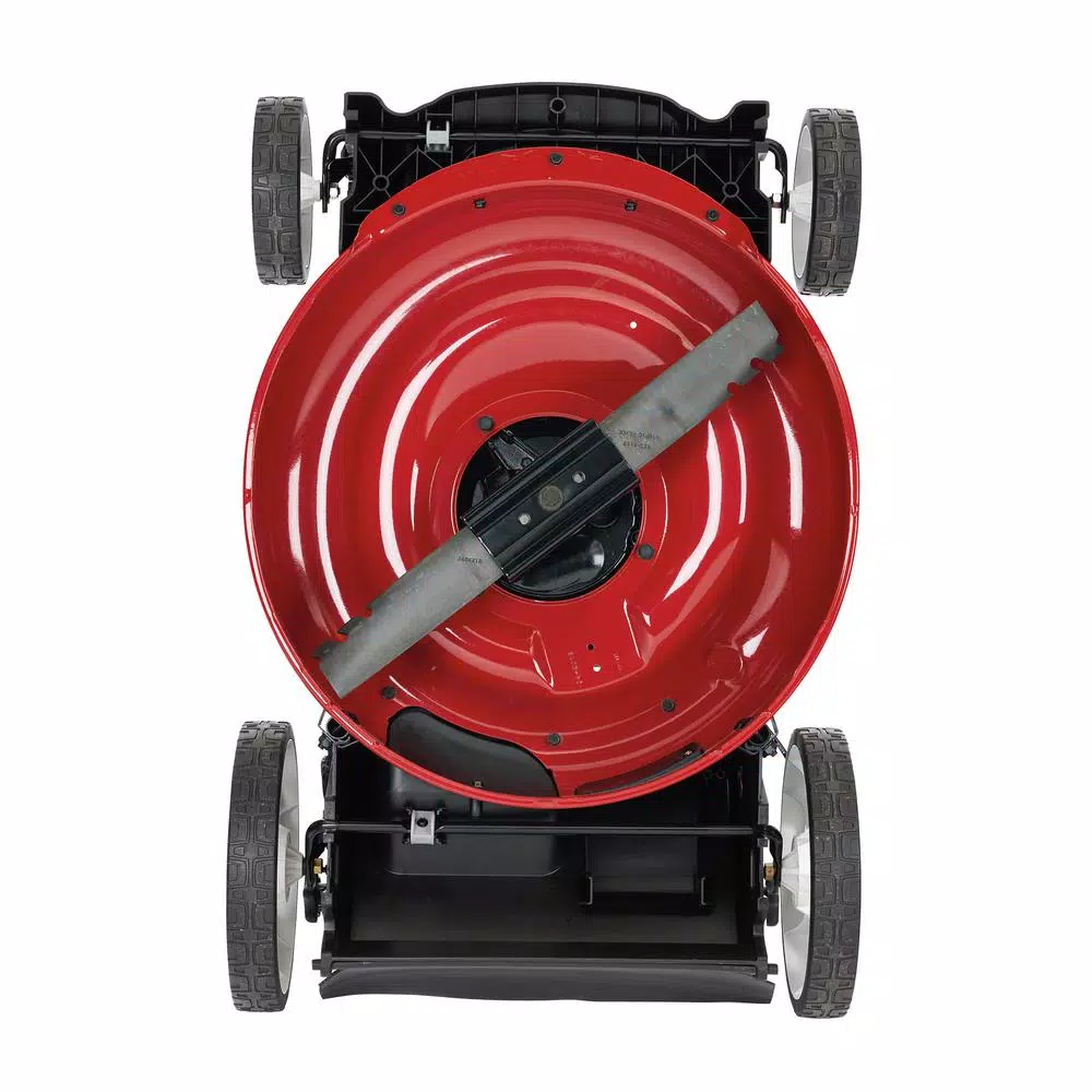Toro Recycler 21 in. High Wheel Gas Push Lawn Mower with Briggs & Stratton Engine and Bagger
