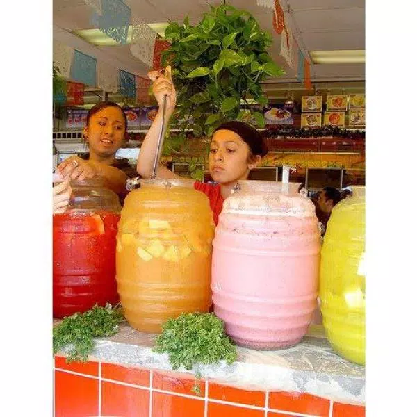 LavoHome 5 Gallon Vitrolero Aguas Frescas Beverage Dispenser with Lid, Clear Plastic