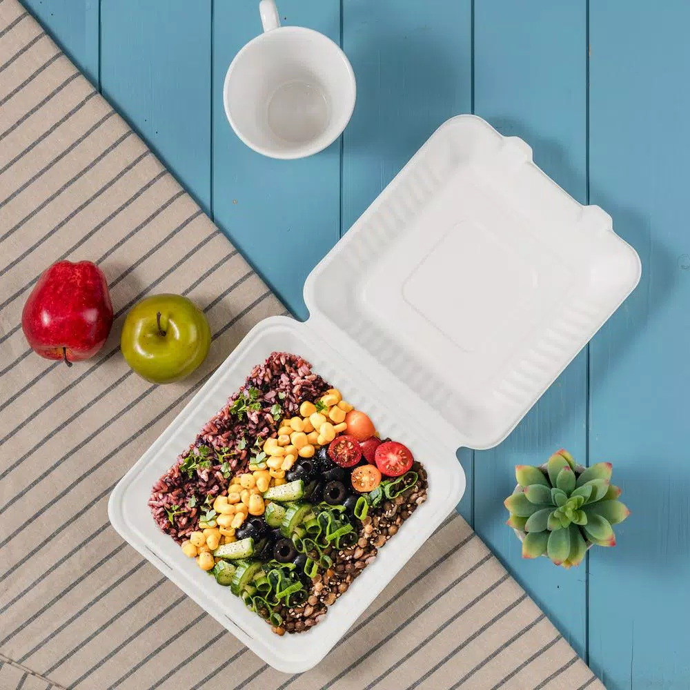 Unbranded 9 in. White Sugarcane Clamshell Containers, 300 Pack - Eco-Friendly & Compostable