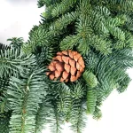 VAN ZYVERDEN 16 in. Live Fresh Cut Pacific Northwest Noble Fir Christmas Wreath with Pine Cones thumbnail 3