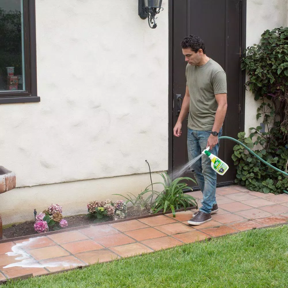 Simple Green Dog Indoor and Outdoor Odor and Stain Remover Kit