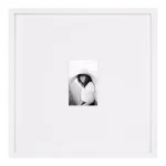 DesignOvation Gallery 17 x 17 in. White Wood Picture Frame, Matted to 4 x 6 in. thumbnail 1