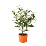 Flora Bunda 18 in. Artificial Olive Tree in Orange Terracotta Clay Pot thumbnail 1