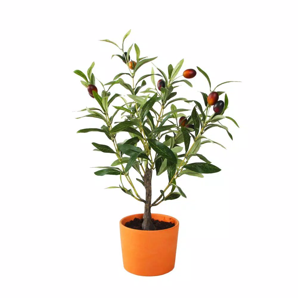 Flora Bunda 18 in. Artificial Olive Tree in Orange Terracotta Clay Pot