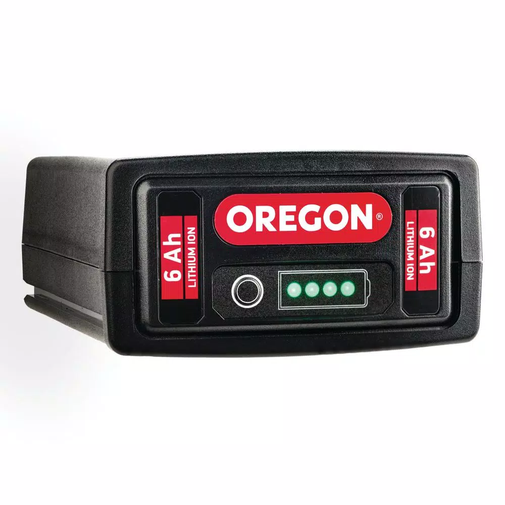 Oregon BL300 40V Cordless Handheld Leaf Blower, 131.5 MPH, 507 CFM, with 6.0 Ah Battery and Rapid Charger
