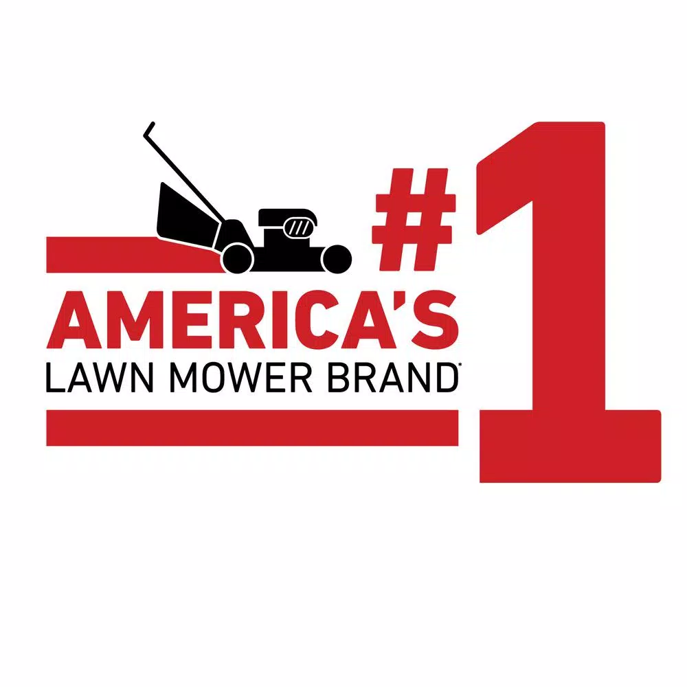 Toro Recycler 22 in. Self-Propelled Gas Lawn Mower with Briggs & Stratton Engine and Bagger