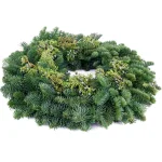 VAN ZYVERDEN 20 in. Fresh Cut Pacific Northwest Juniper and Noble Fir Christmas Wreath thumbnail 2