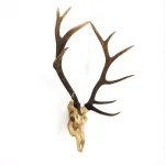Zentique Polyresin Off-White and Ombre Brown Antler Deer Skull Sculpture thumbnail 2