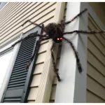 Worth Imports 22 in. Brown Furry Spider with Lighted Red Eyes (Set of 2) - Halloween Bug Decor thumbnail 2