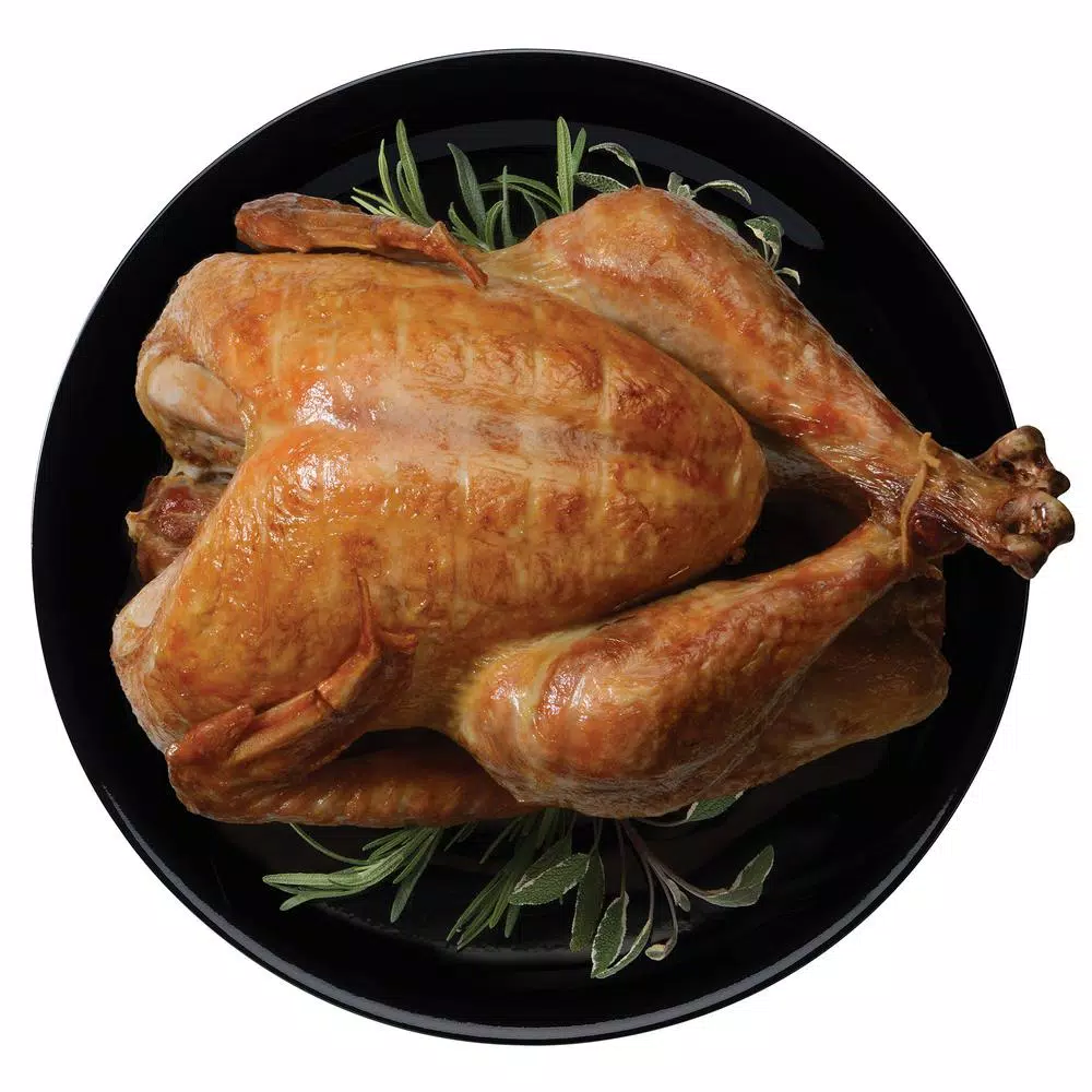 Presto Pro-Fry Electric Rotisserie Turkey Fryer, 1800W Indoor Deep Fryer with Stainless Steel Housing
