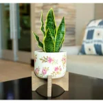 Flora Bunda 12 in. Faux Snake Plant in Floral White Ceramic Pot with Wood Stand thumbnail 3