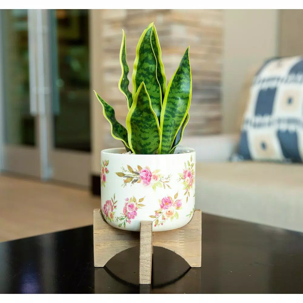 Flora Bunda 12 in. Faux Snake Plant in Floral White Ceramic Pot with Wood Stand