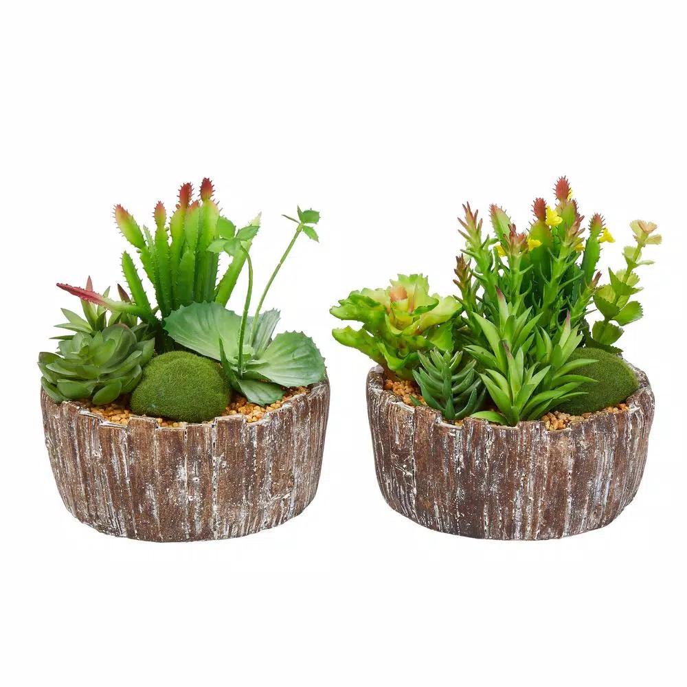 Pure Garden 8 in. Faux Succulent Arrangement with Decorative Concrete Planter, Set of 2