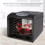 Ivation 6-Tray Digital Food Dehydrator, 480W Countertop Drying Machine with Temperature & Timer Controls thumbnail 2