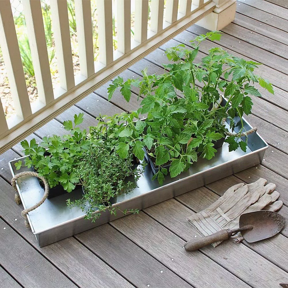 Achla Designs Galvanized Steel Serving Tray with Rope Handles, 28.25 in. x 10.25 in.