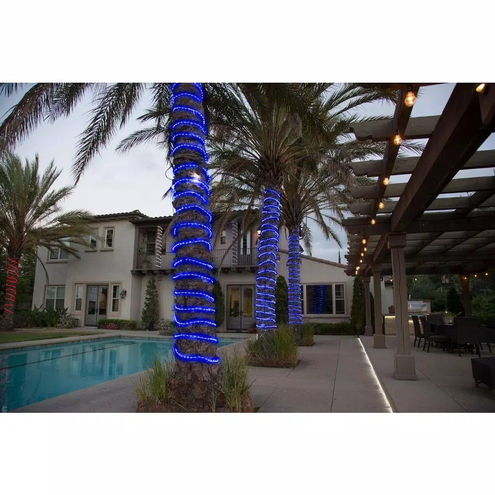 DEERPORT DECOR Blue LED Rope Light 360° Directional Shine, Indoor/Outdoor, 16 ft. (2-Pack, 32 ft. Total)