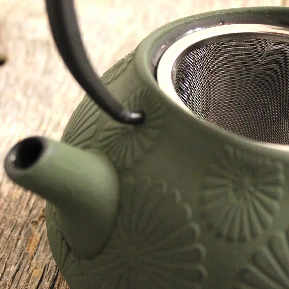 BergHOFF Cast Iron 1.2 Qt. Dark Green Teapot with 18/10 Stainless Steel Mesh Filter