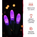 Haunted Hill Farm 48 in. Wicked Witch on a Broom LED Halloween Indoor/Outdoor Light thumbnail 4