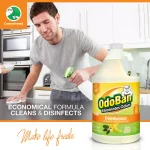 OdoBan Citrus Multi-Purpose Disinfectant Concentrate, 1 Gallon thumbnail 3