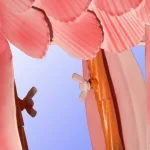 National Tree Company 32 in. Metal Pink Flamingo Garden Statue - Coastal Style Outdoor/Indoor Sculpture thumbnail 3