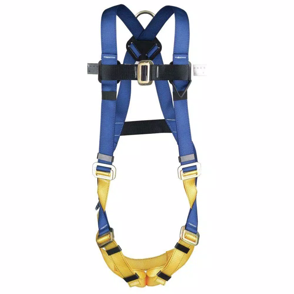 Werner BaseWear Standard Universal Safety Harness, 1 D-Ring, Blue