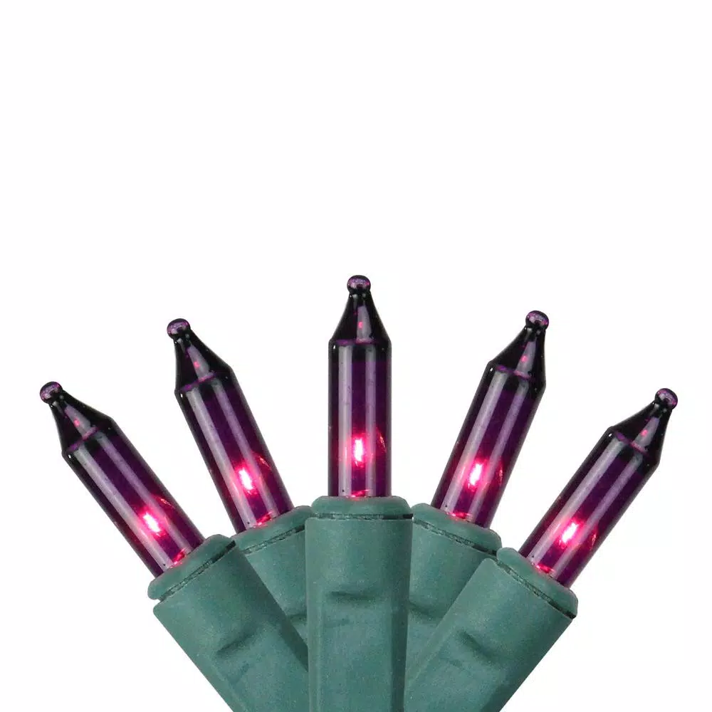 Sienna 4 ft. x 6 ft. Purple Mini Net Style Christmas Lights with Green Wire, 150 Bulbs