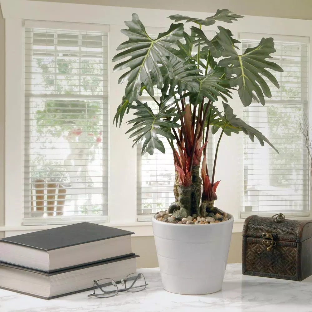 National Tree Company 21 in. Artificial Philodendron Plant in White Ceramic Pot
