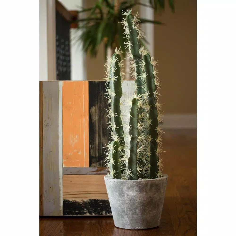 Nearly Natural Decorative Tall Cactus Collection with Modern Cement Planter and White River Rocks