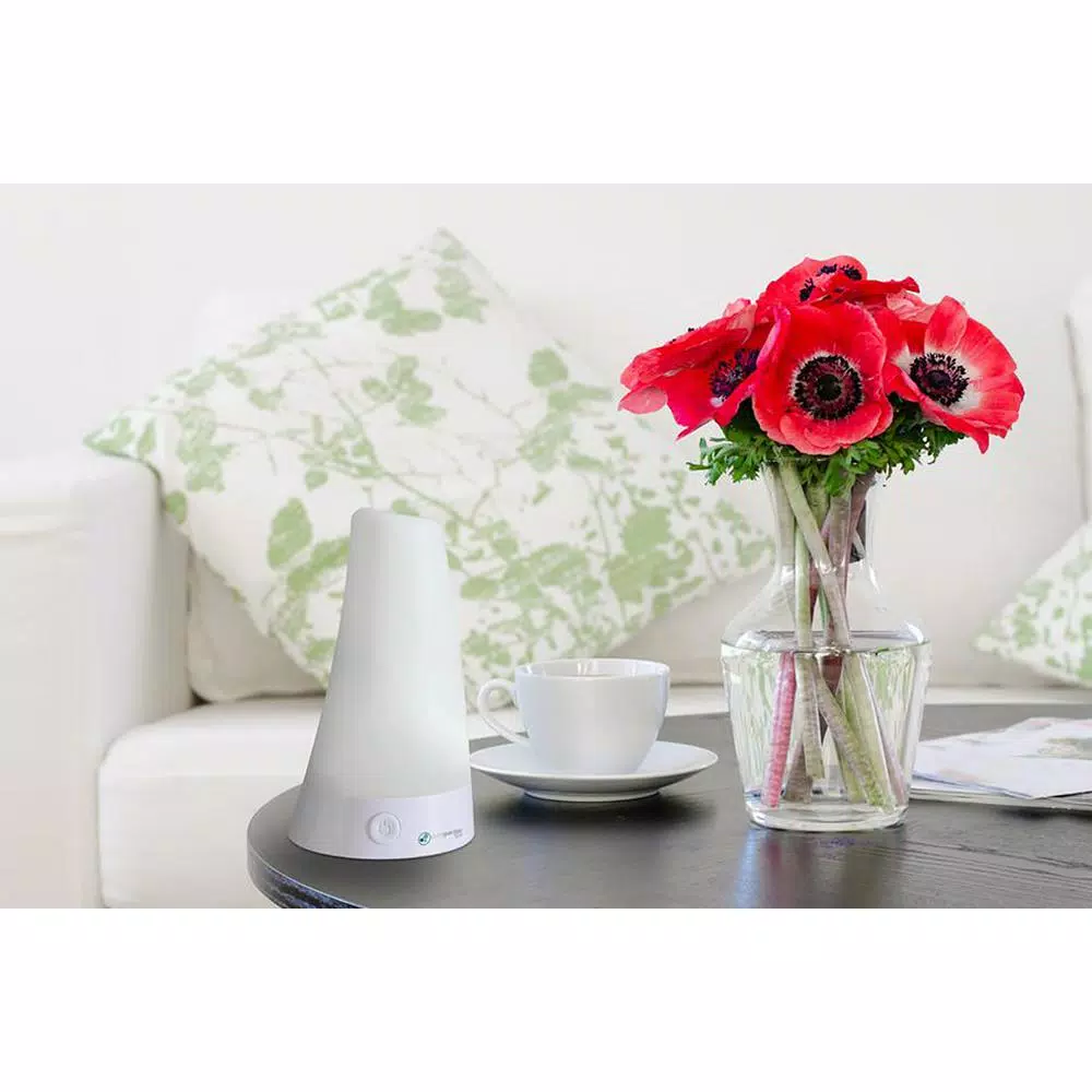 PureGuardian SPA101WCA Ultrasonic Cool Mist Essential Oil Diffuser with Color-Changing Light