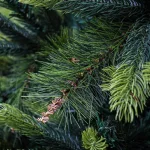 ALEKO 9 ft. Unlit Traditional Artificial Christmas Tree with 2680 Tips thumbnail 2