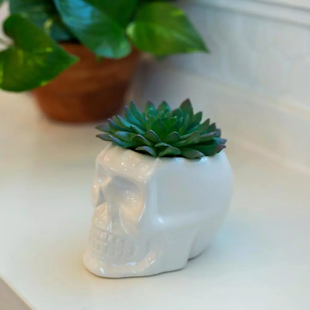 Flora Bunda White Ceramic Sugar Skull Succulent Planter with Artificial Plant, 4.5 x 3.5 in.