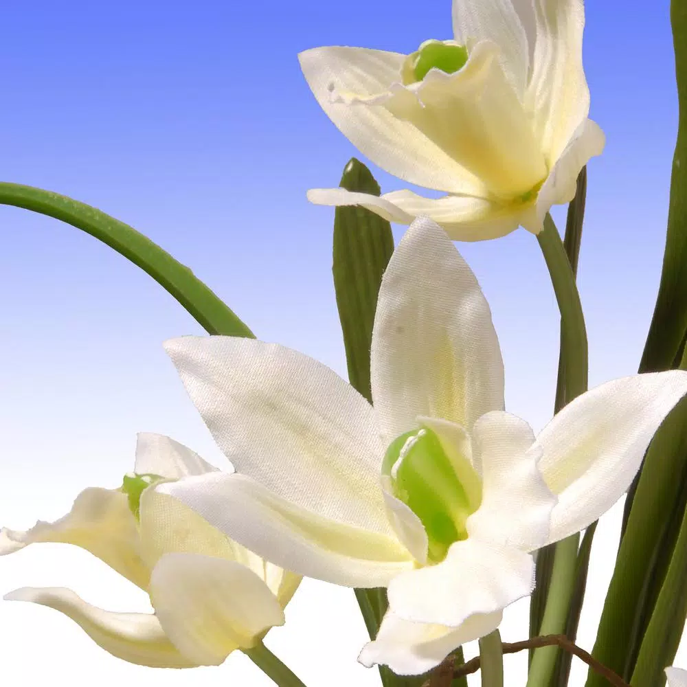 National Tree Company Artificial Yellow Orchid Floral Arrangement in White Oriental Ceramic Pot