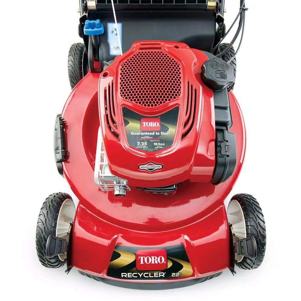 Toro Recycler 22 in. Self-Propelled Gas Lawn Mower with Briggs & Stratton Engine