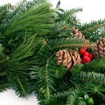 VAN ZYVERDEN 24 in. Live Fresh Cut Blue Ridge Mountain Mixed Christmas Wreath with Cones and Berries thumbnail 3