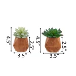 Flora Bunda Set of 2 Faux Succulents in Hand-Crafted Geometric Wood Planters, 4.5 in. thumbnail 2