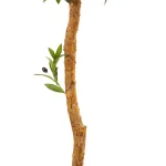 Nearly Natural 5.5 ft. Artificial Olive Topiary Tree - UV Resistant Indoor/Outdoor Faux Plant thumbnail 3
