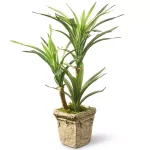 Unbranded 14 in. Artificial Green Yucca Plant in Distressed Cement Style Pot thumbnail 1