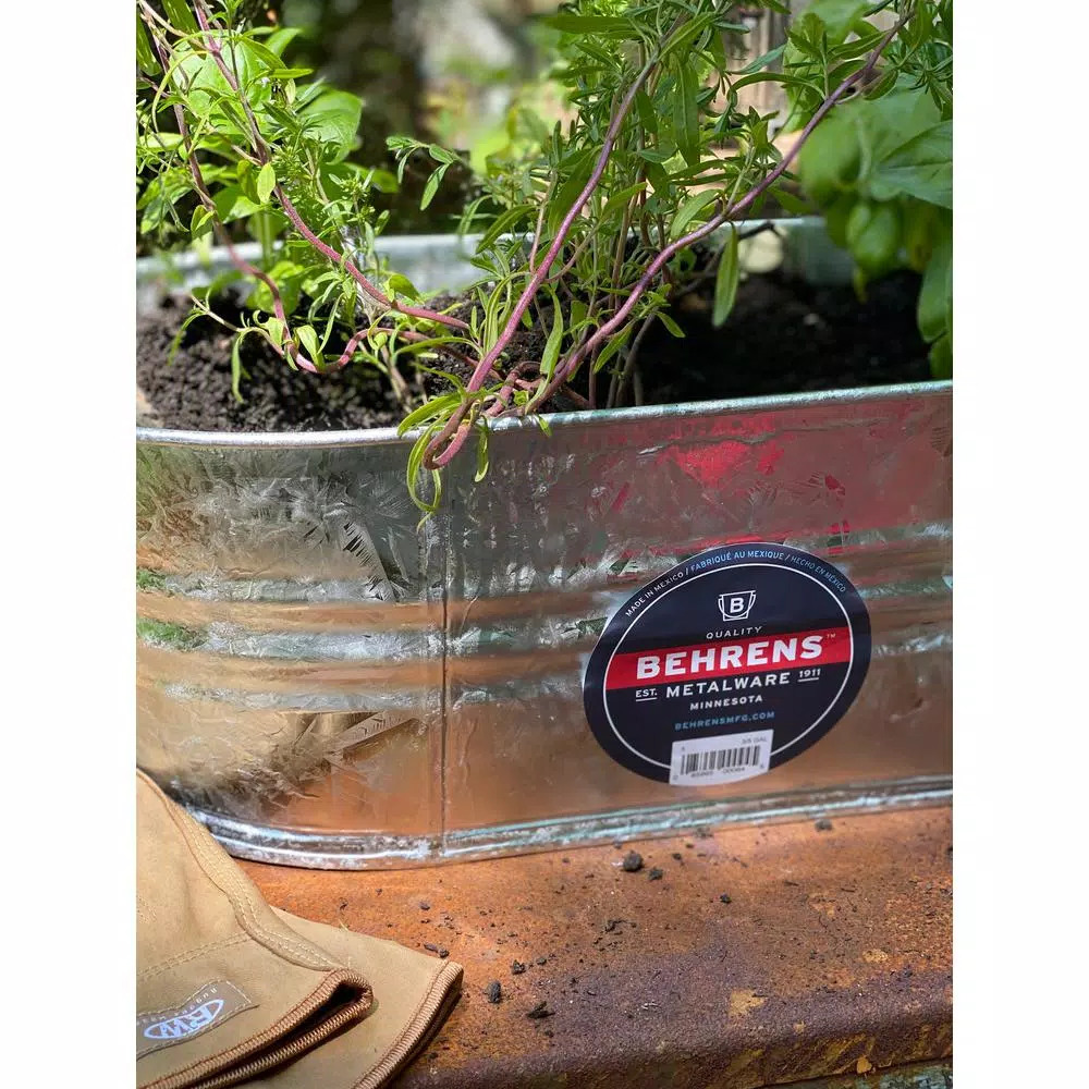 Behrens 1 Gal. Hot Dipped Galvanized Steel Oval Tub with Wire Handles